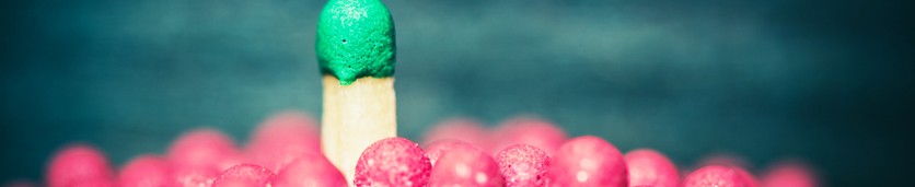 SBS Endorsed - Adaptive Leadership: Tools and Tactics Training Courses in 