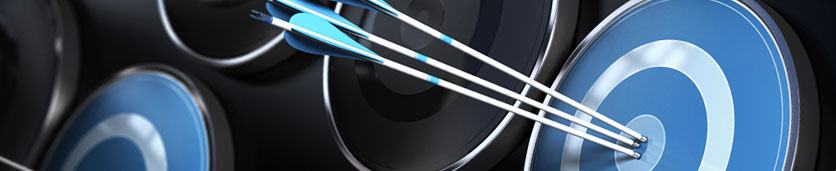 The Balanced Scorecard: Achieving Performance Excellence Training Courses in 
