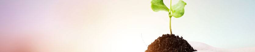 Corporate Social Responsibility (CSR) Training Courses in 