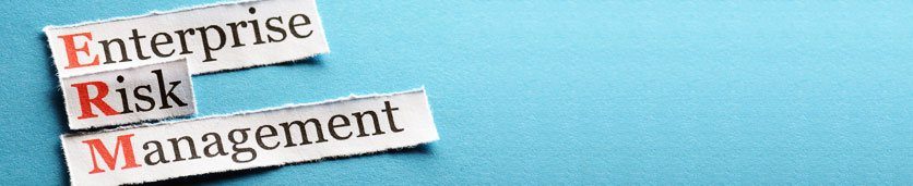 Enterprise Risk Management Training Courses in 
