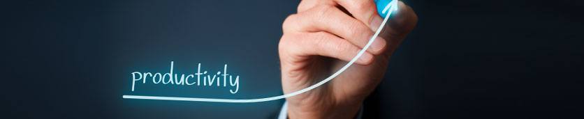 Improving Productivity through Quality Enhancement and Cost Reduction Training Courses in 