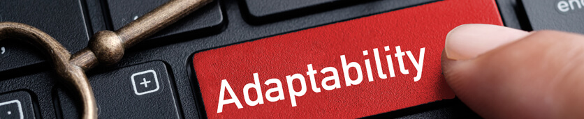 Learning through adaptability Training Courses in 