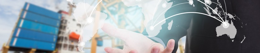 CILT Endorsed Supply Chain Risk Management Training Courses in 